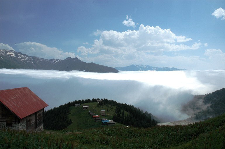 Green mountains and countryside in Rize in the Black Sea region